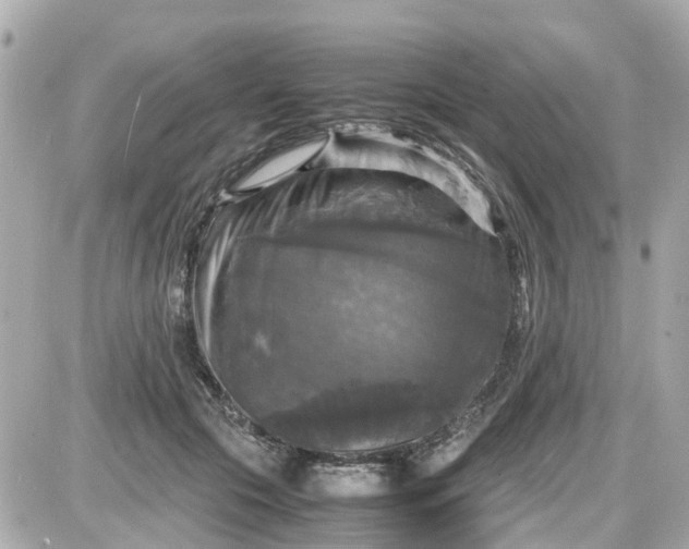 X0000087540553200705112059