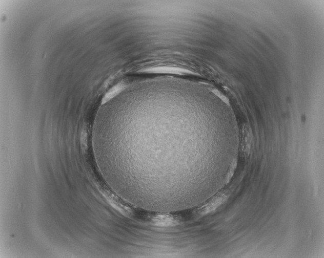 X0000087540562200705112059
