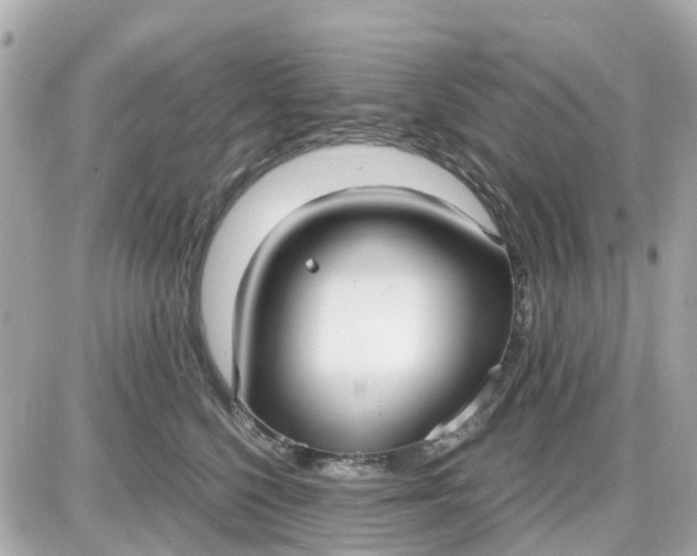 X0000087540568200705112059