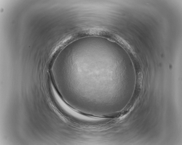 X0000087540589200705112058