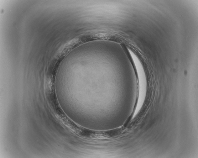 X0000087540597200705112058