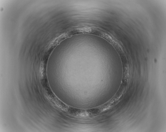 X0000087540600200705112058