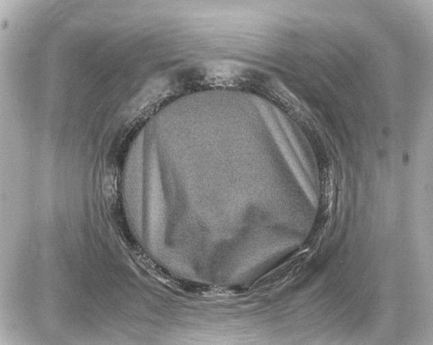X0000087540603200705112058