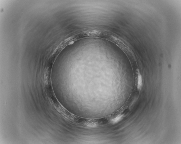 X0000087540604200705112058