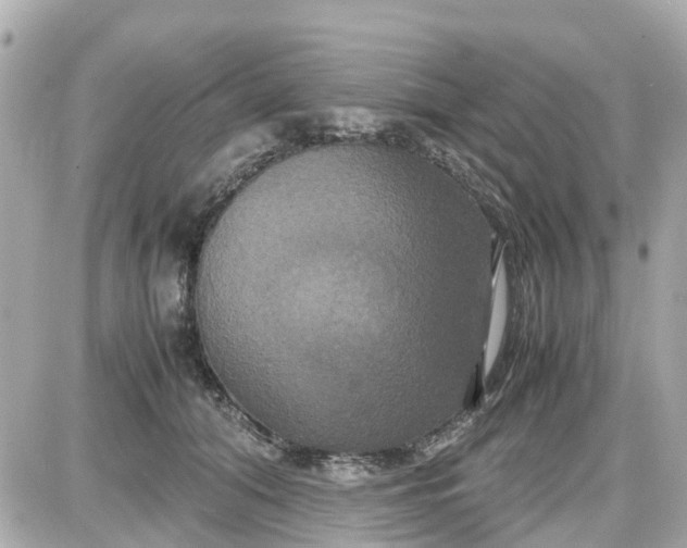 X0000087540608200705112058