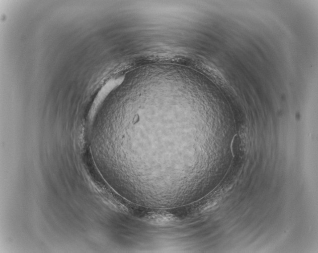 X0000087540642200705112057