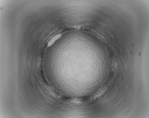 X0000087540656200705112057