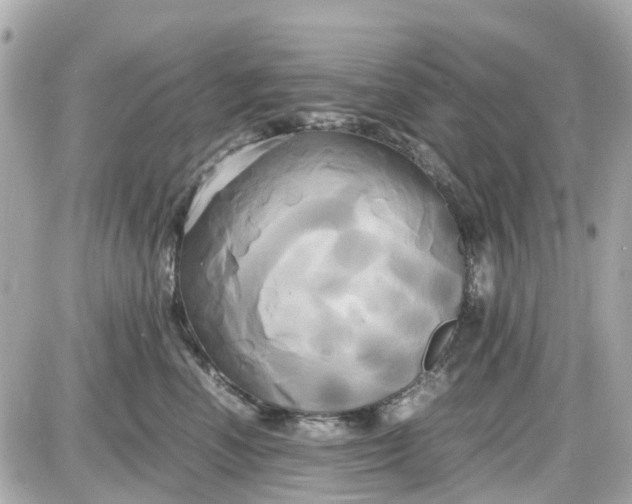 X0000087540666200705112058