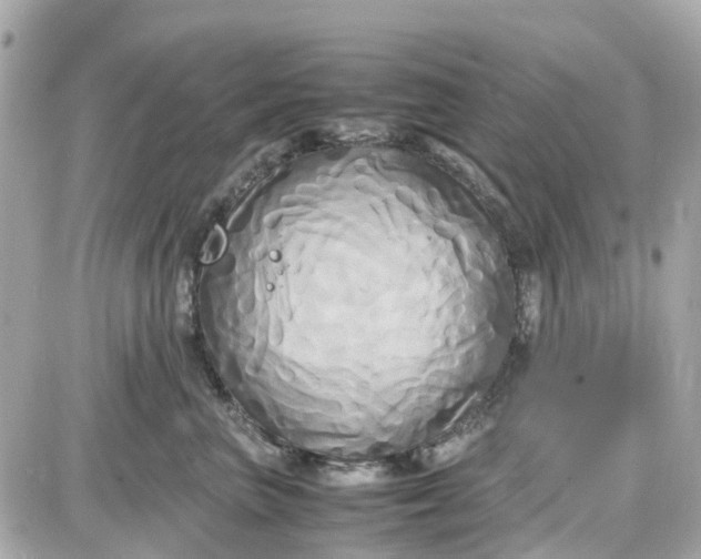 X0000087540667200705112058