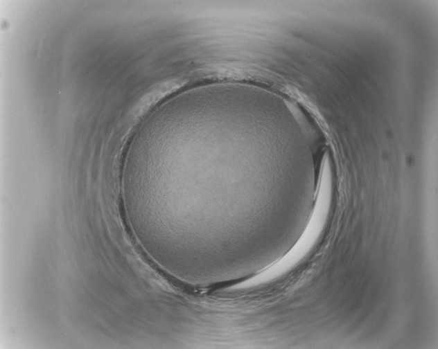 X0000087540673200705112057