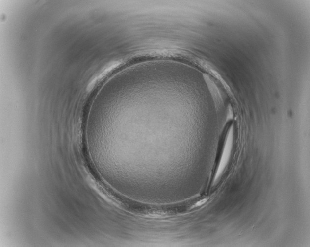 X0000087540677200705112057