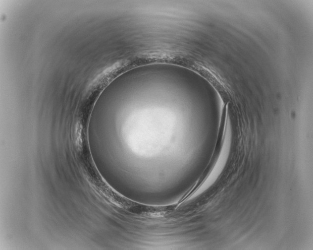 X0000087540692200705112057