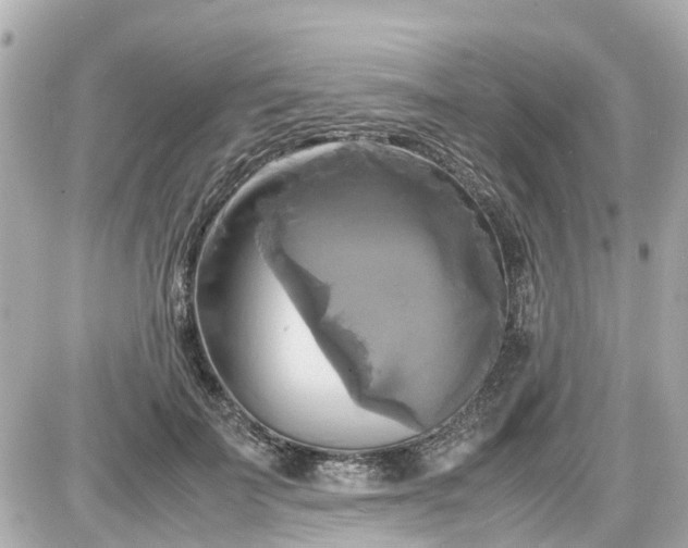 X0000087540699200705112056