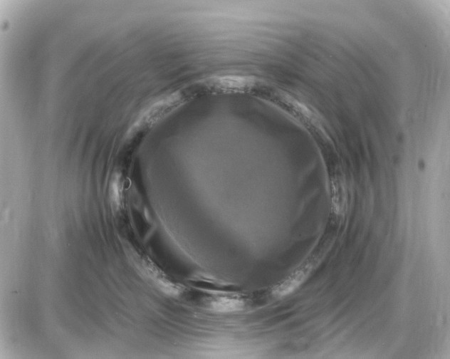 X0000087540718200705112056