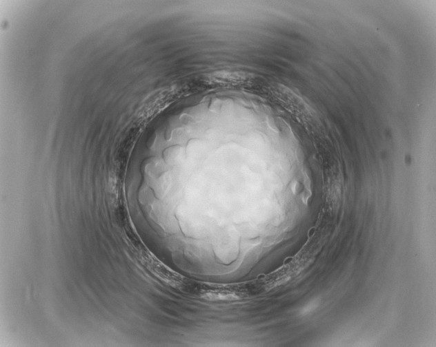 X0000087540749200705112056