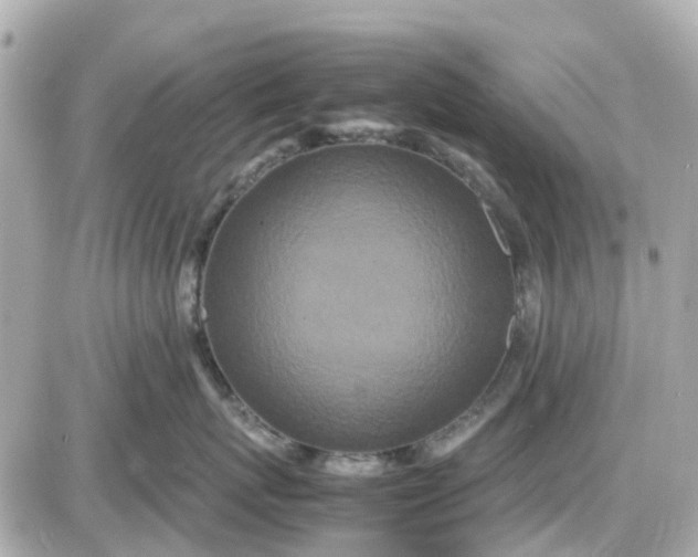 X0000087540767200705112056