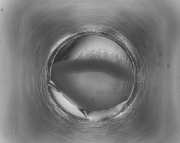 X0000087540779200705112055