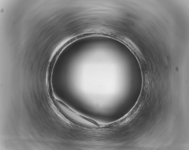 X0000087540788200705112055
