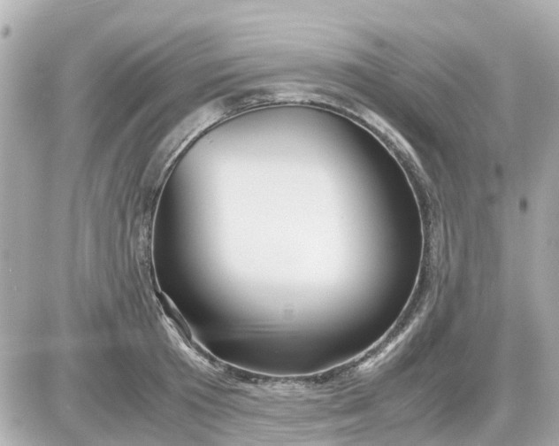 X0000087540801200705112055