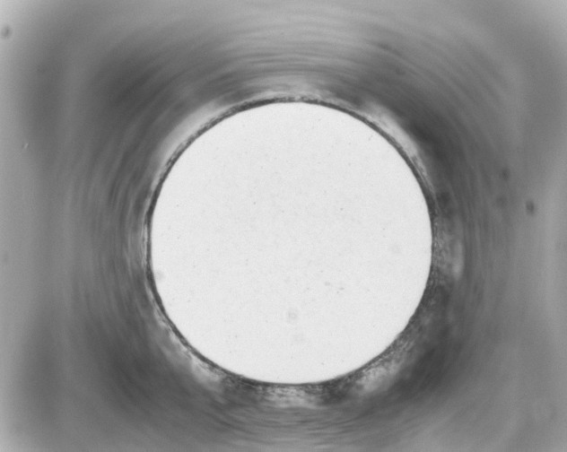 X0000087540807200705112055