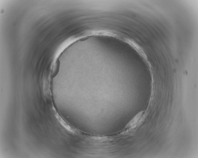 X0000087540816200705112055