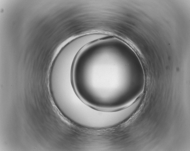 X0000087540854200705112054