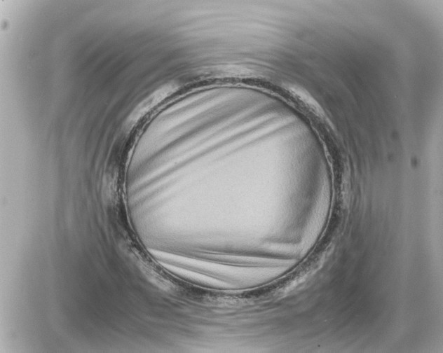 X0000087540873200705112054