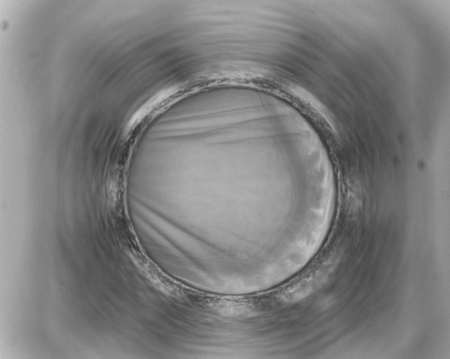 X0000087540874200705112054
