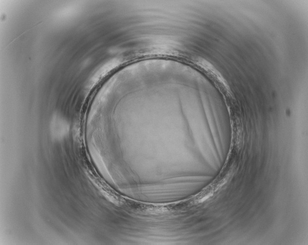 X0000087540882200705112054