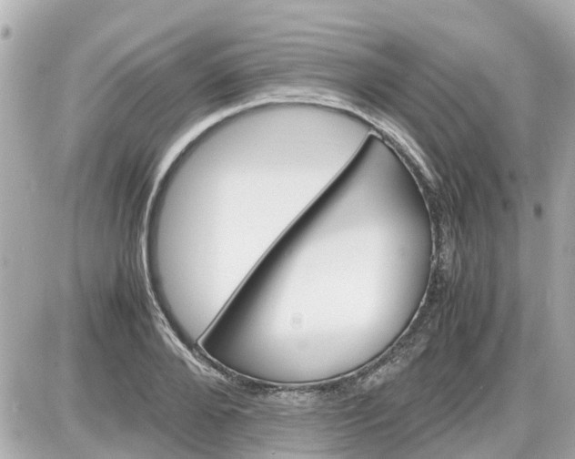 X0000087540888200705112053