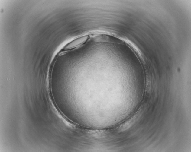 X0000087540902200705112053