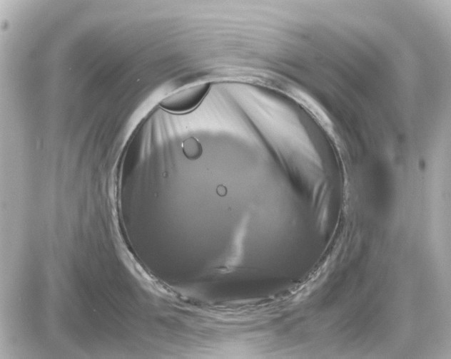 X0000087540907200705112053
