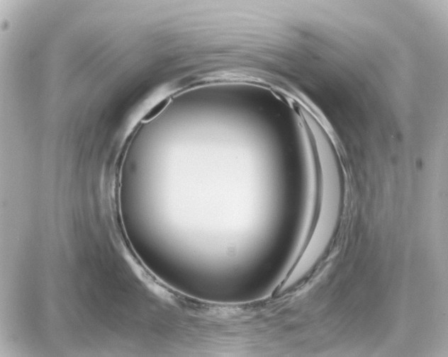 X0000087540909200705112053