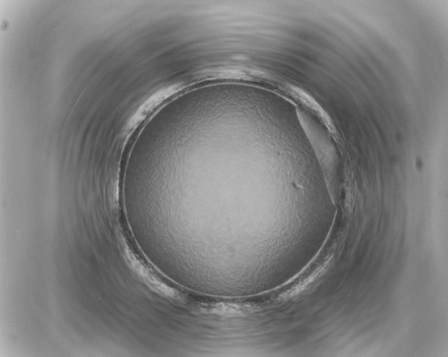 X0000087540938200705112053