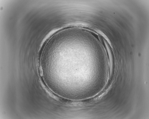 X0000087540989200705112052
