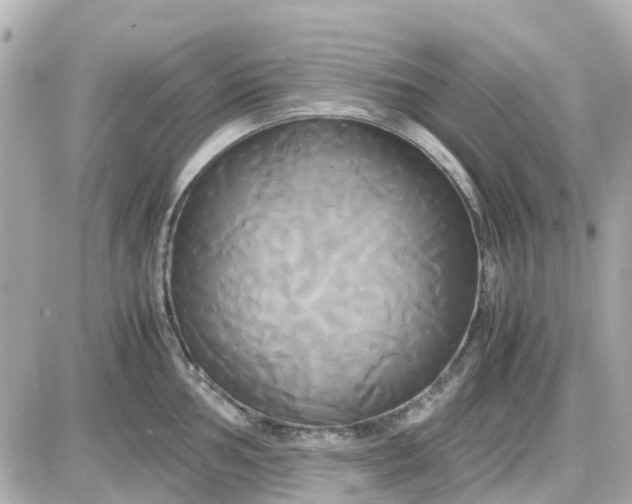 X0000087541002200705112052