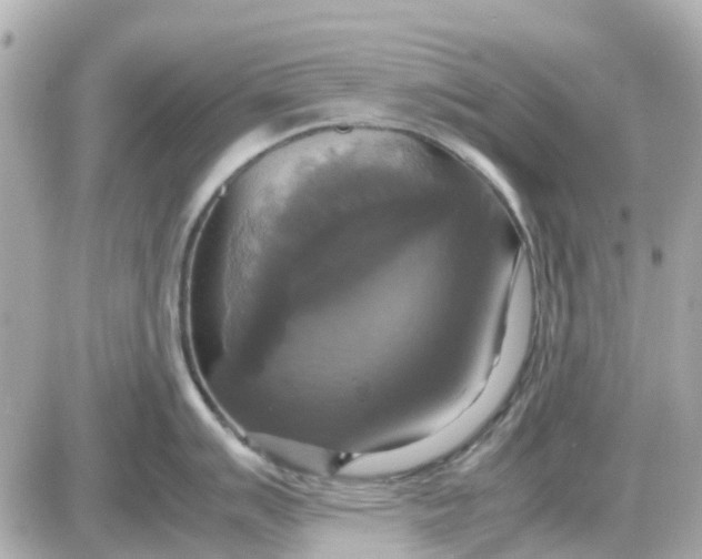 X0000087541007200705112051