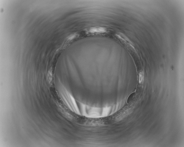 X0000087541011200705112051