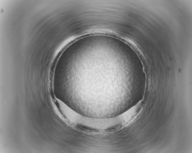 X0000087541038200705112051