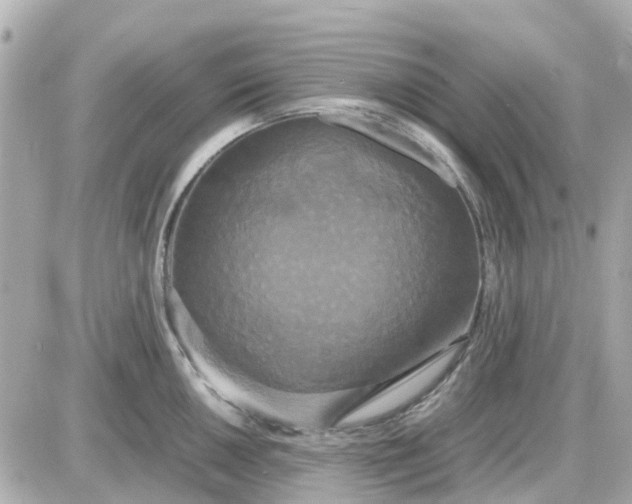 X0000087541050200705112051