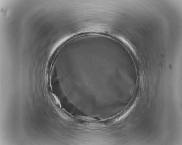 X0000087541077200705112050