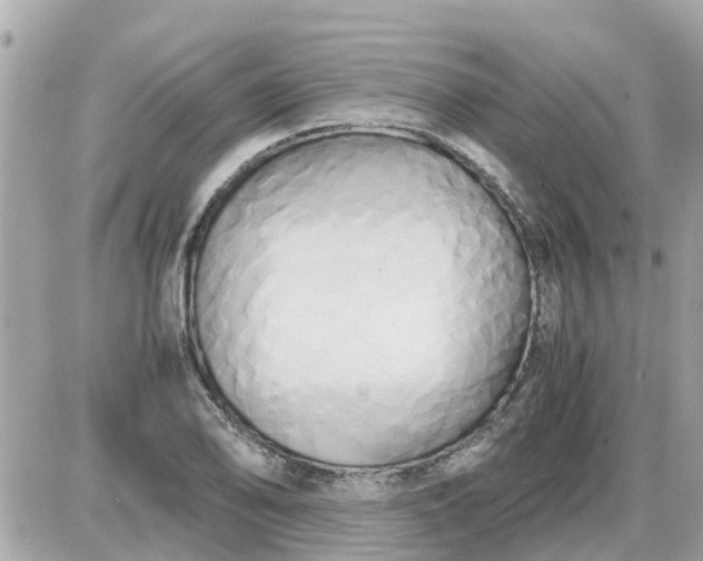 X0000087541078200705112050
