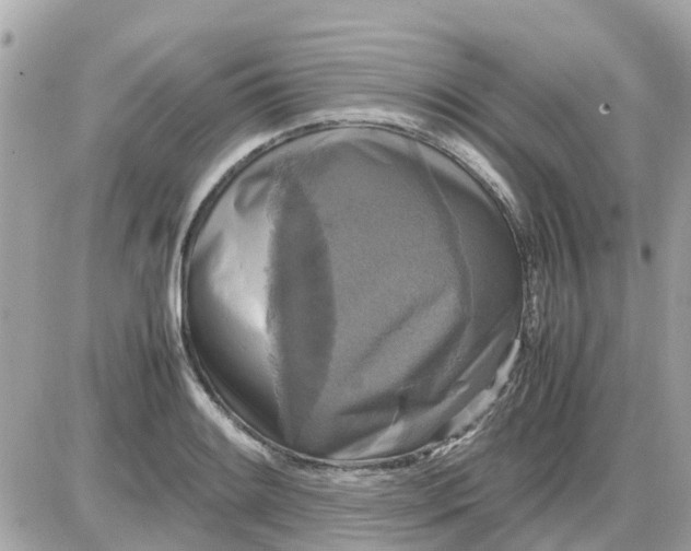X0000087541084200705112050
