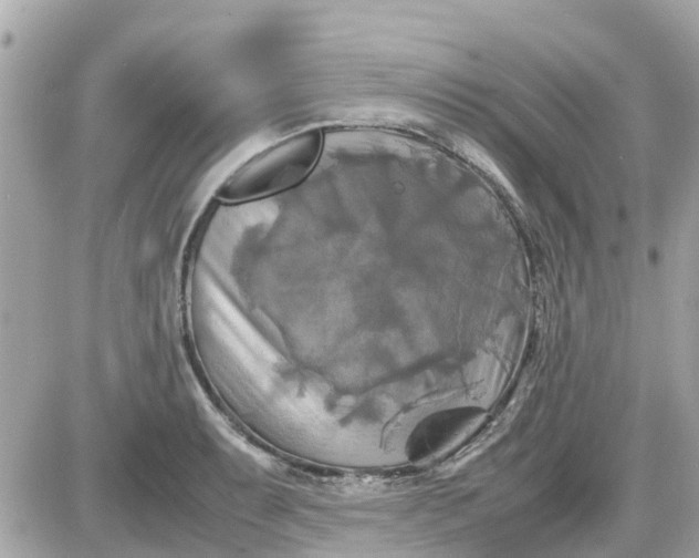 X0000087541087200705112050