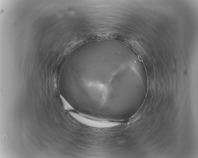X0000087541106200705112049