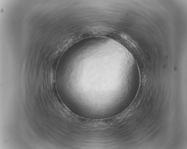 X0000087541108200705112049