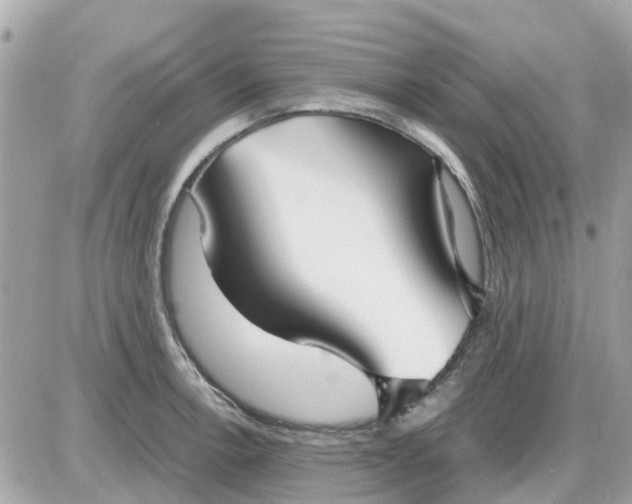 X0000087541138200705112050