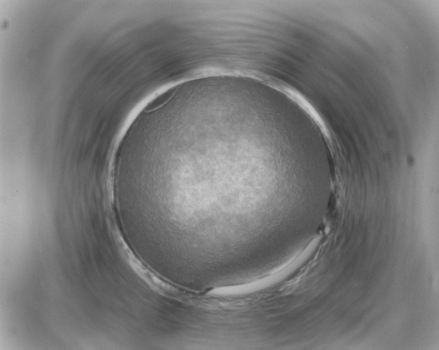 X0000087541148200705112050