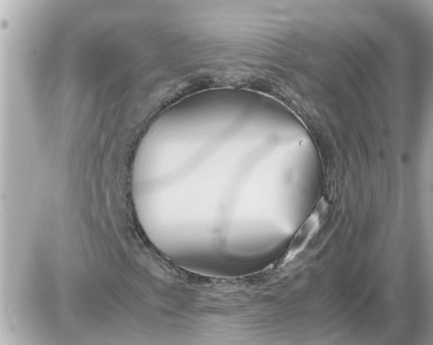 X0000087541153200705112049