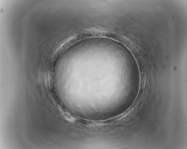 X0000087541157200705112049